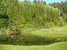 Крутые Горки, турбаза. Сарапул